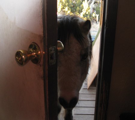 Come on Inside