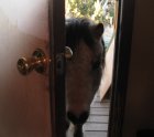 Come inside