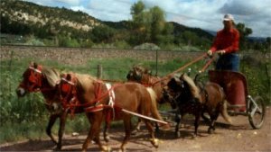 Red Miniature Chariot