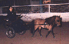 Driving at the Show